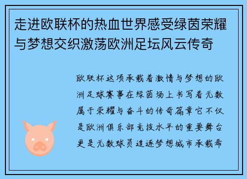 走进欧联杯的热血世界感受绿茵荣耀与梦想交织激荡欧洲足坛风云传奇